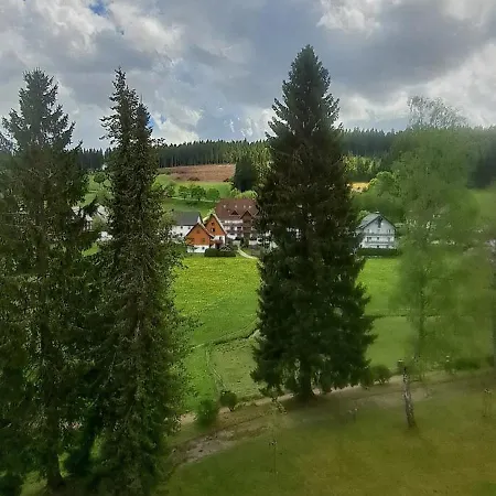 Im Schwarzwald Mit Blick Ins Gruene Und Balkon