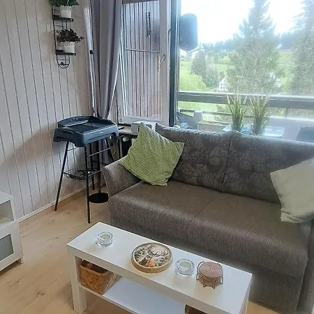Im Schwarzwald Mit Blick Ins Gruene Und Balkon アパート Schönwalde
