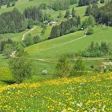 Im Schwarzwald Mit Blick Ins Gruene Und Balkon アパート
