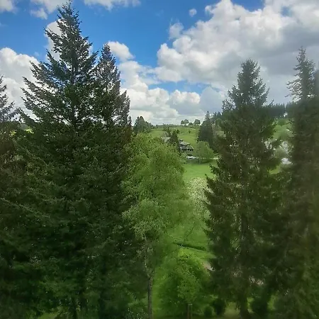 Im Schwarzwald Mit Blick Ins Gruene Und Balkon Schönwalde