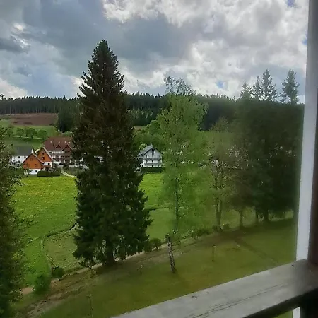 アパート Im Schwarzwald Mit Blick Ins Gruene Und Balkon